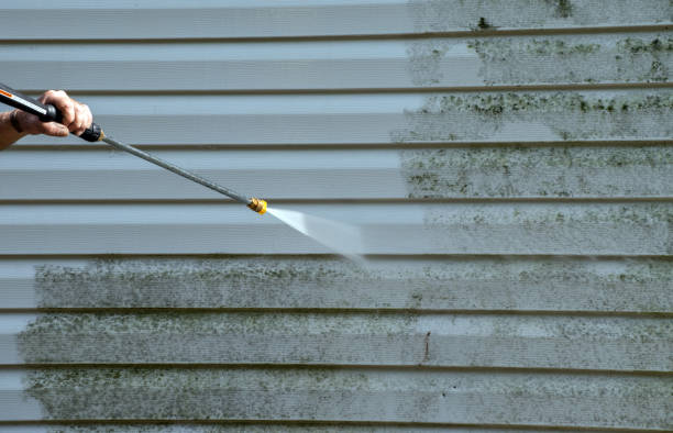 Best Vinyl Siding Pressure Washing in St Marys, OH